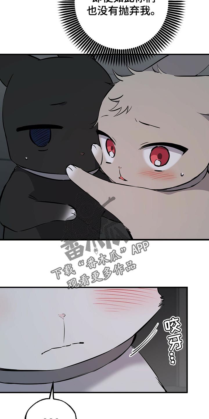 第116章：开始干活25