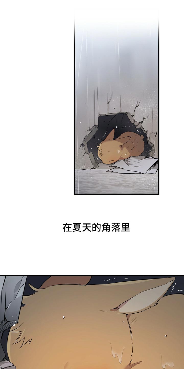 第94章：它们会去哪？26