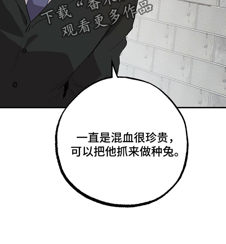 第113章：请立刻过来15