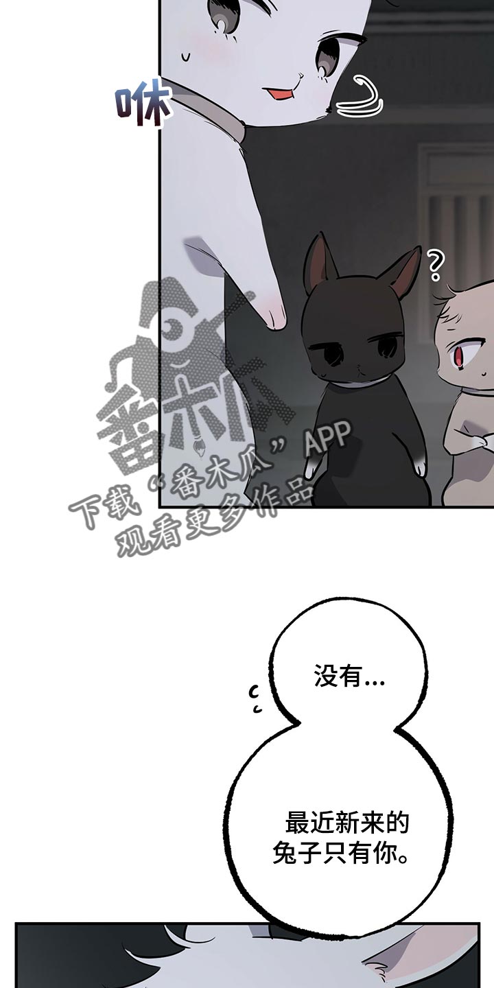 第116章：开始干活10