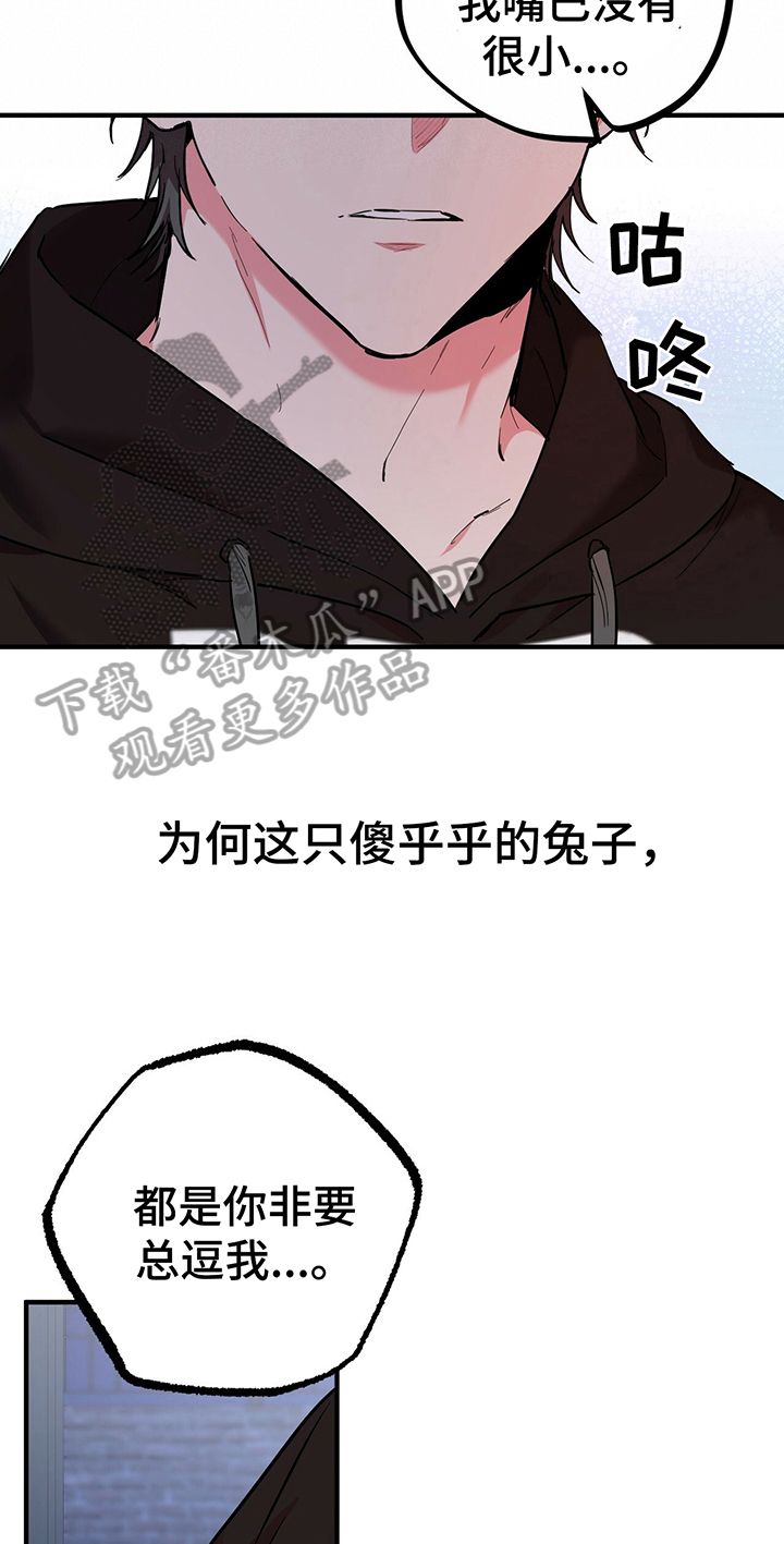第22章：迷人17