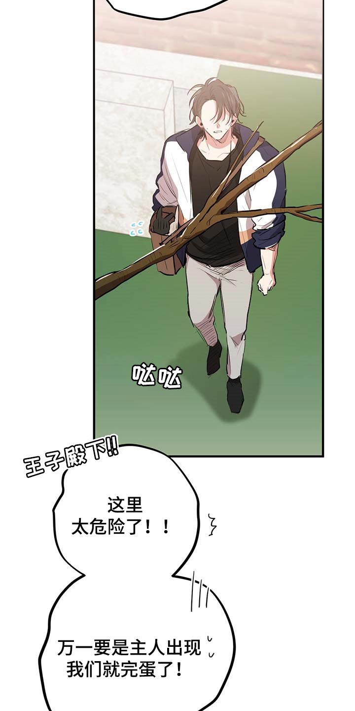 第55章：跟我一起走吧6