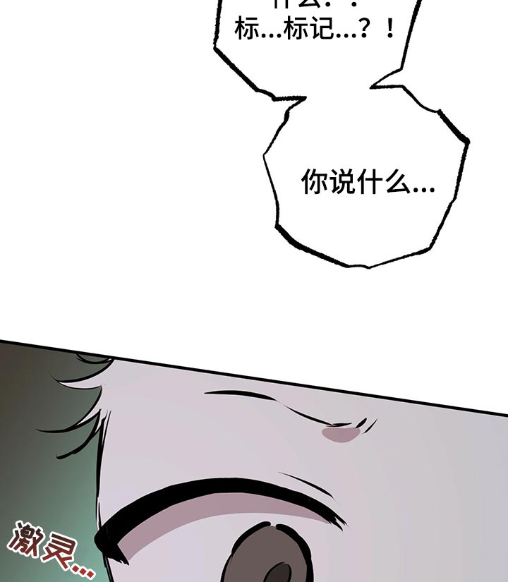 第117章：我有个好主意16