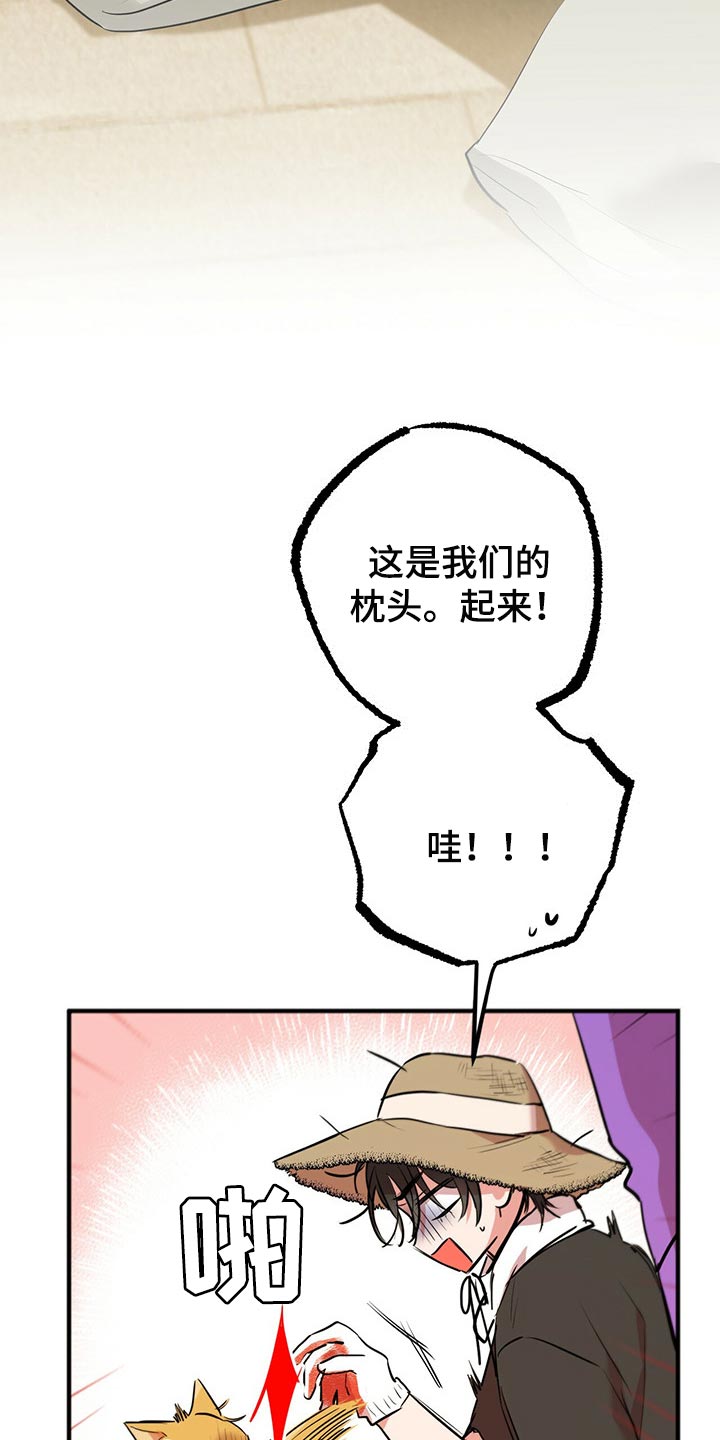 第86章：帮它生宝宝14
