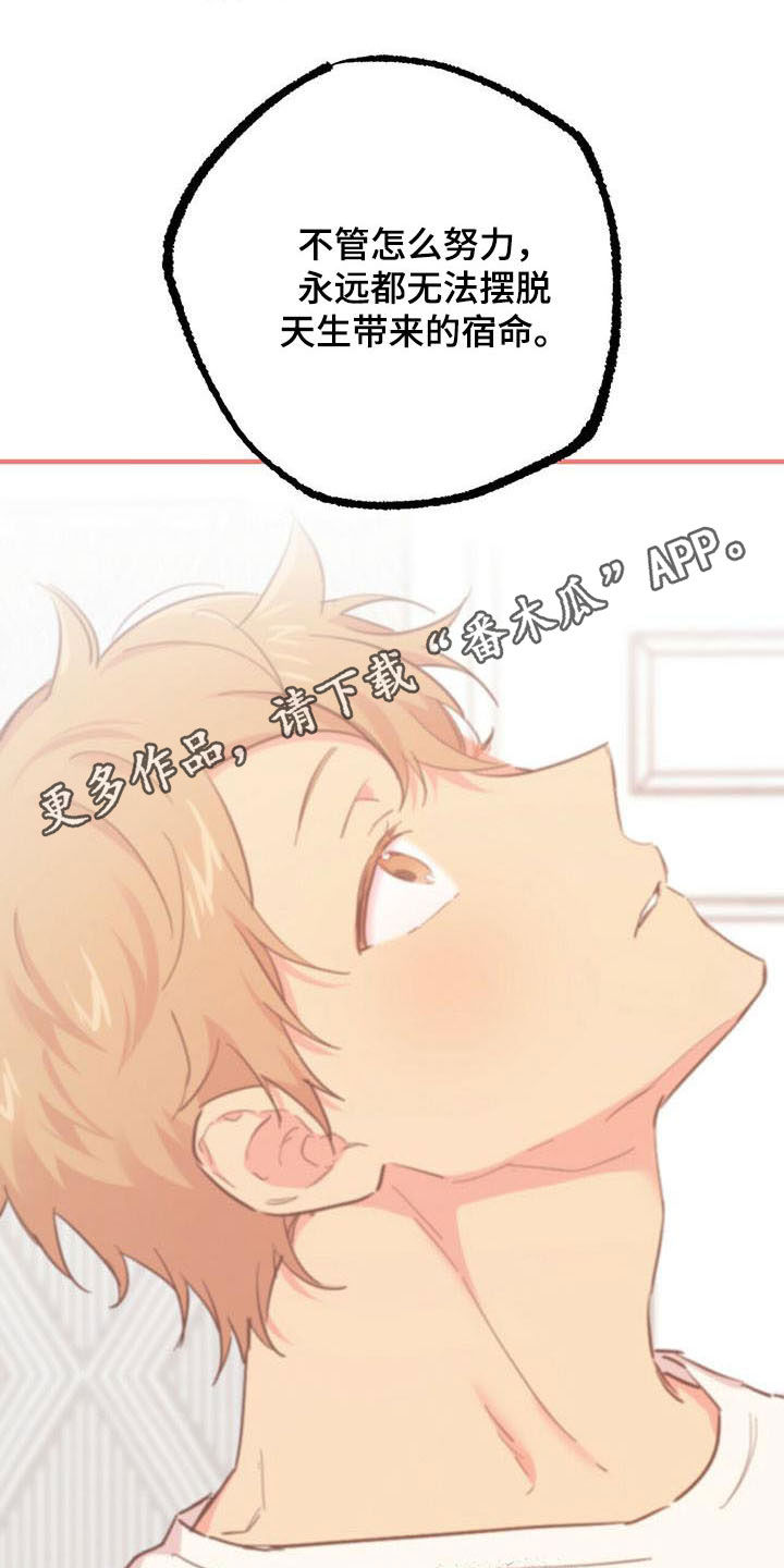 第62章：争论0