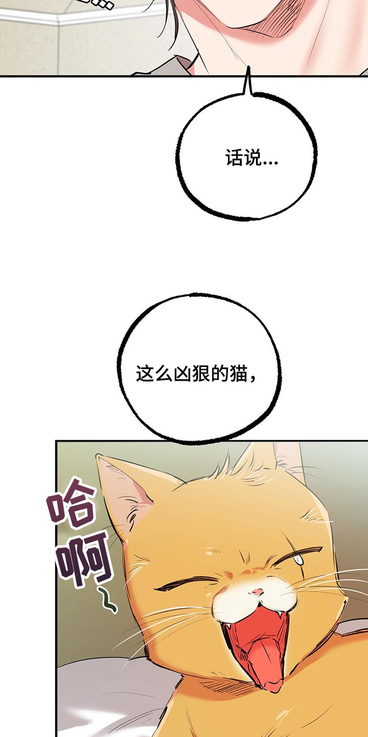 第89章：家里有监控7
