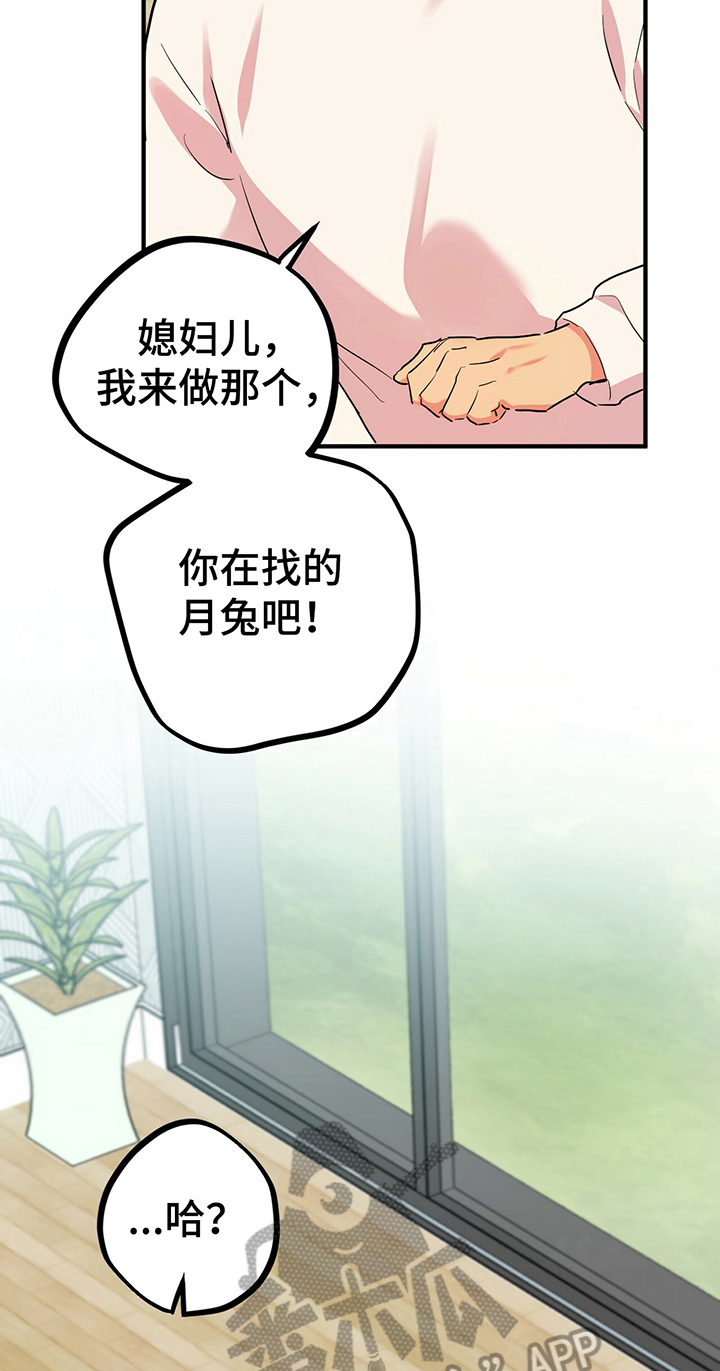 第14章：目的19