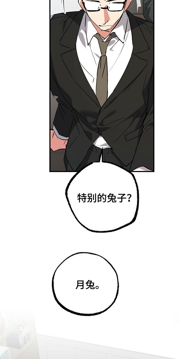 第118章：卖月兔25