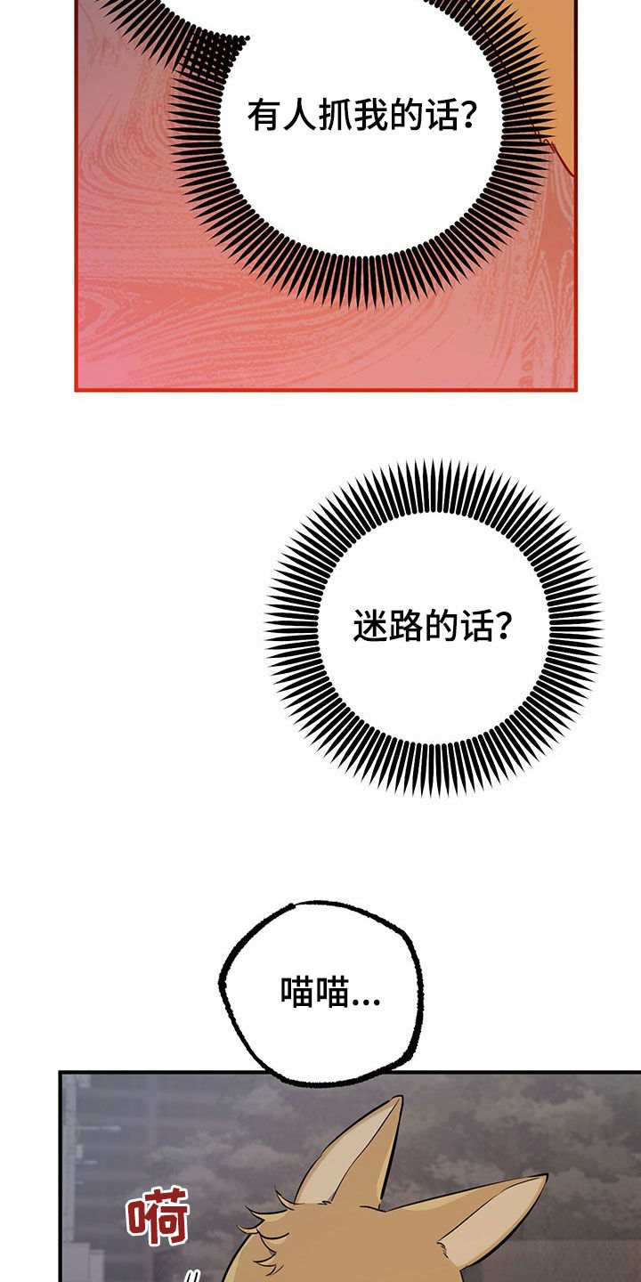 第119章：出发23