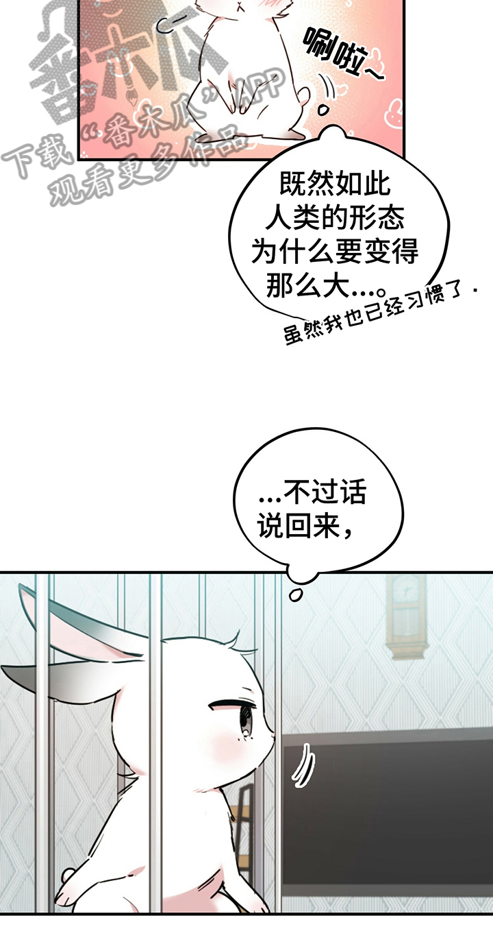 第6章：鄙视4