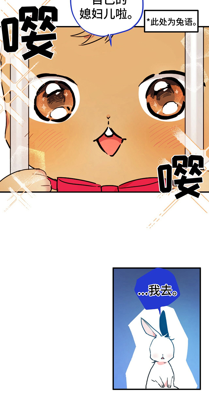 第5章：媳妇儿20