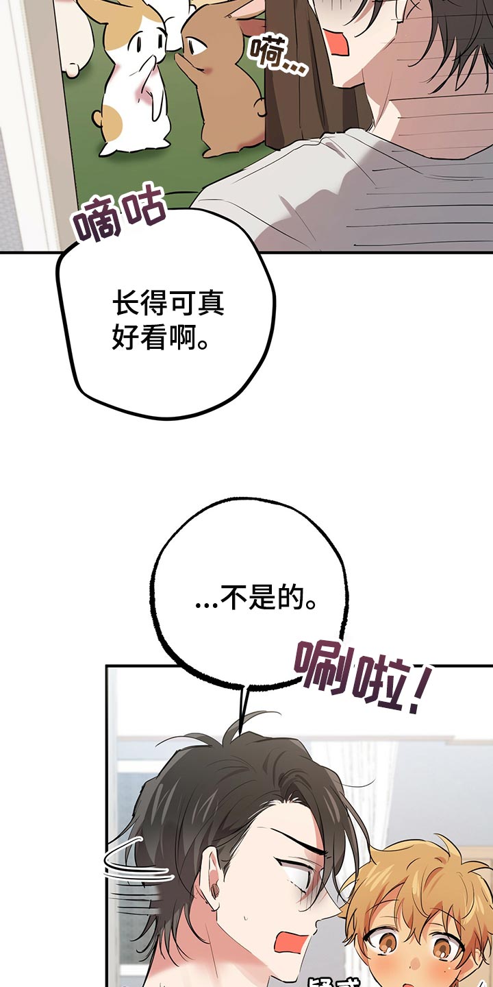 第104章：报恩4