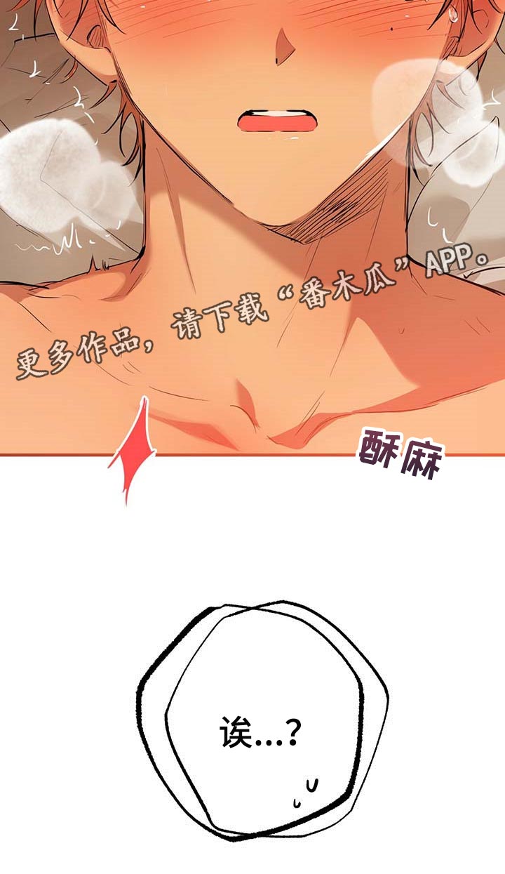 第73章：真正的媳妇27