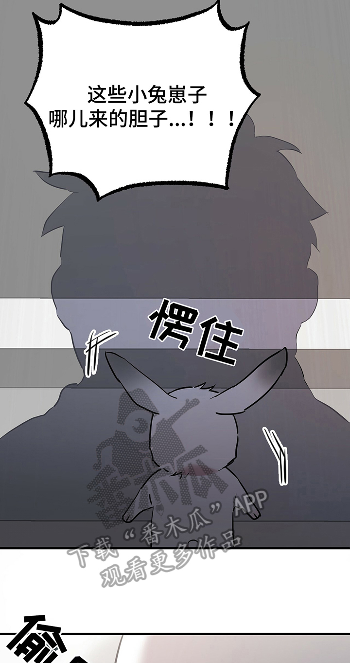 第10章：特征18