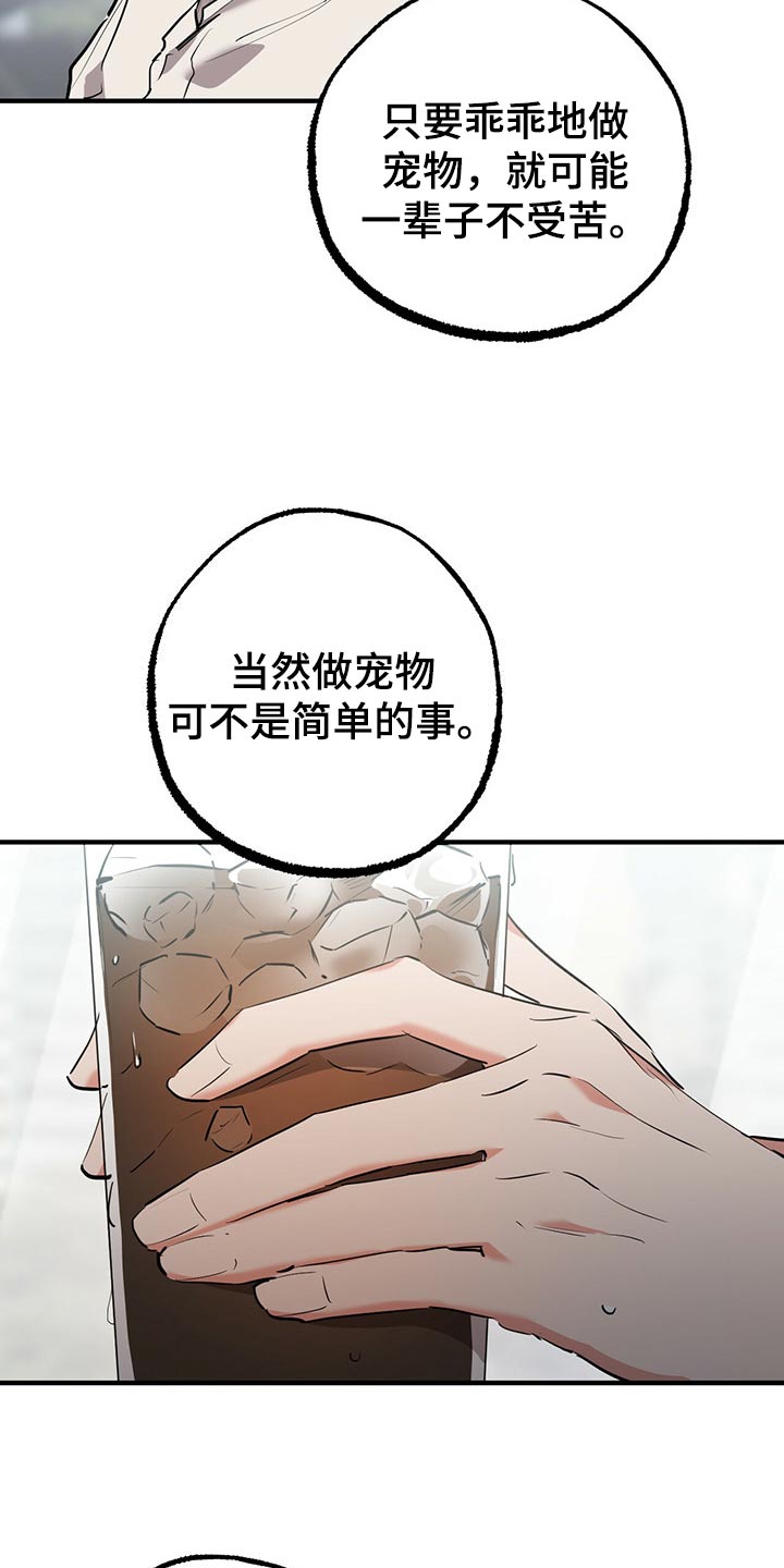 第94章：它们会去哪？5