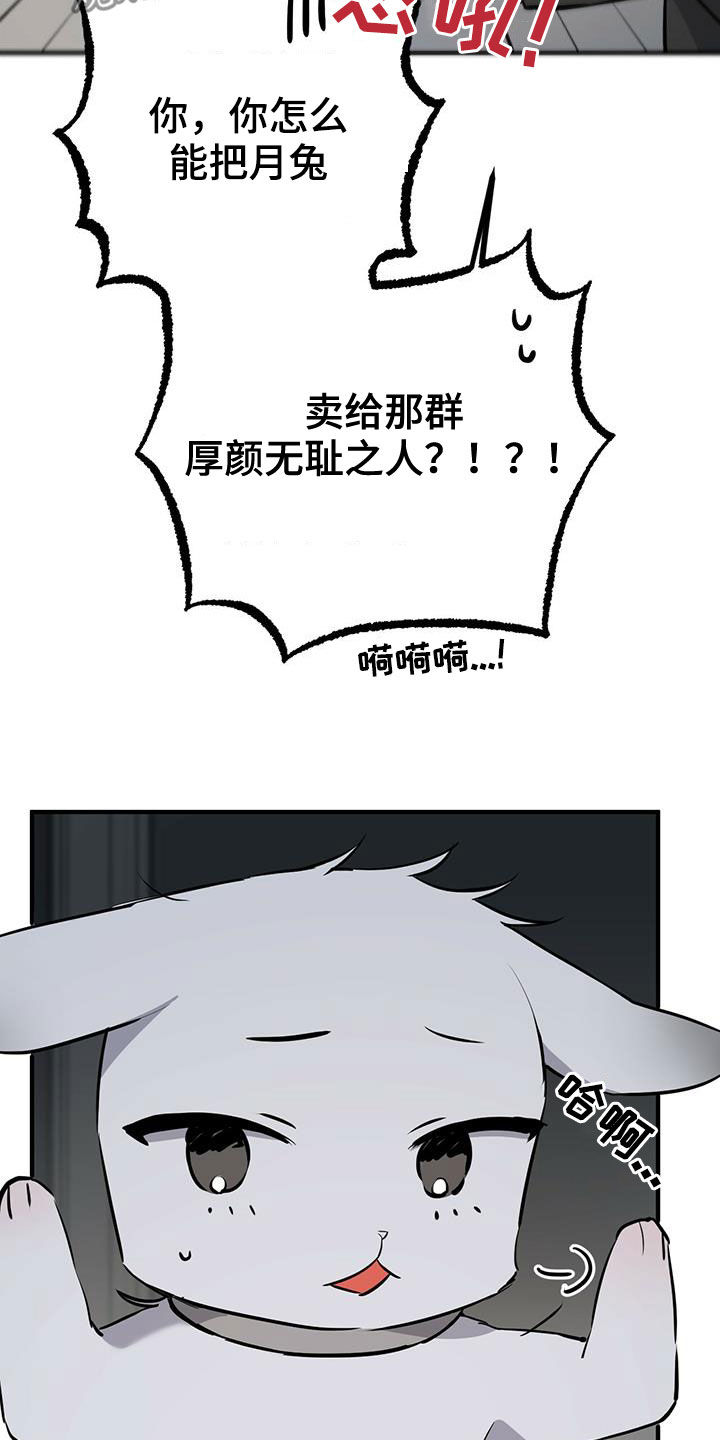 第118章：卖月兔5