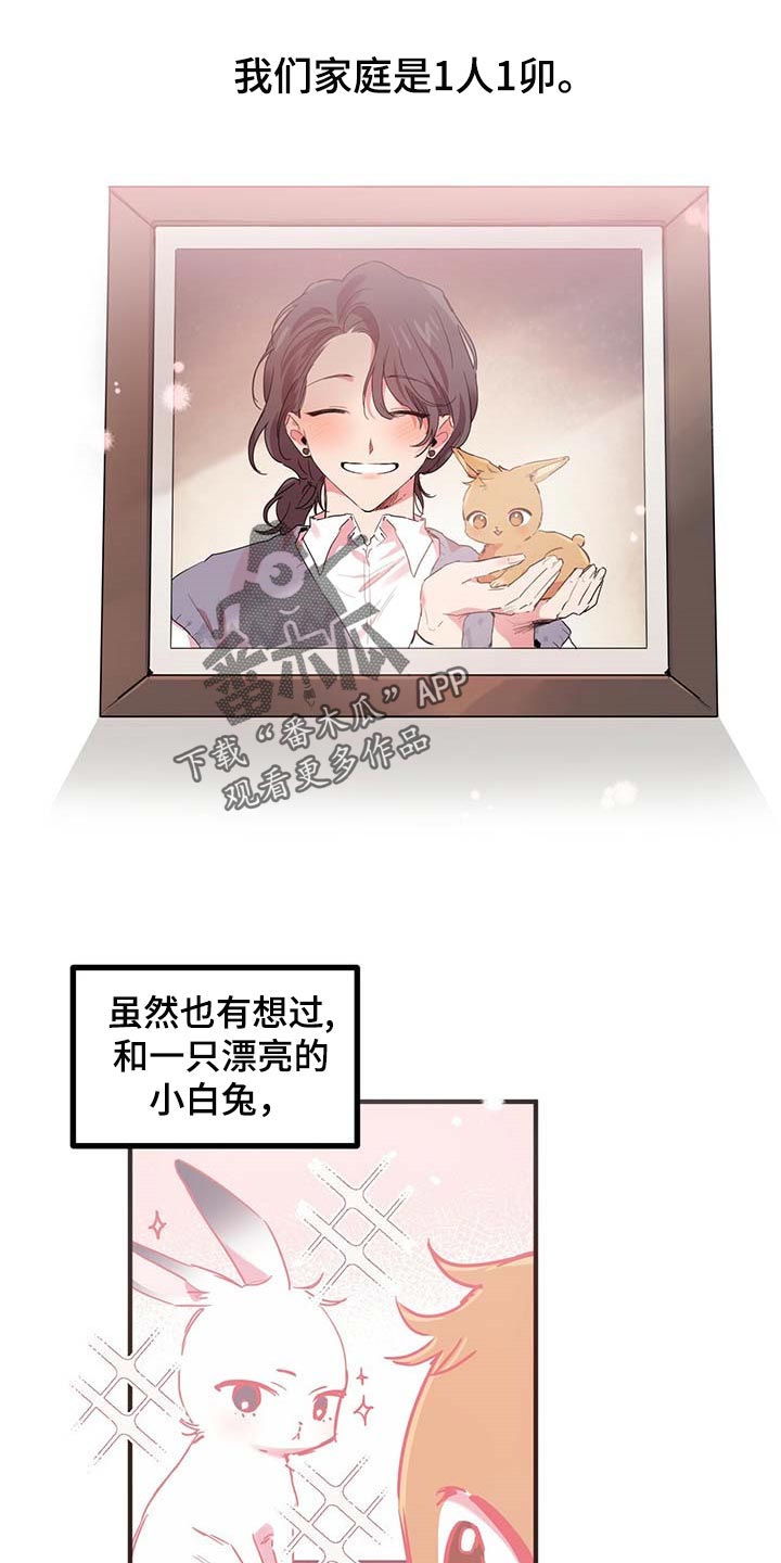 第31章：这是为何呢？0