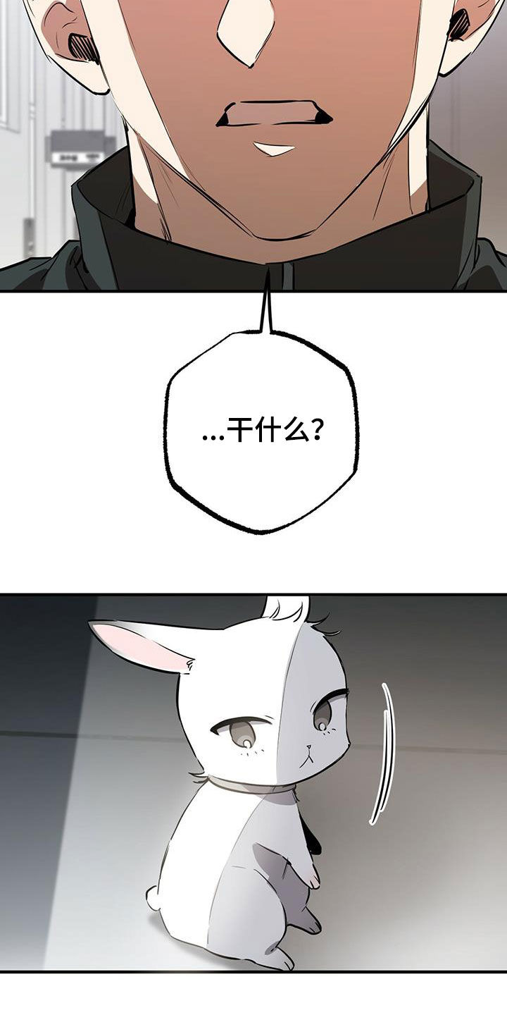 第118章：卖月兔13