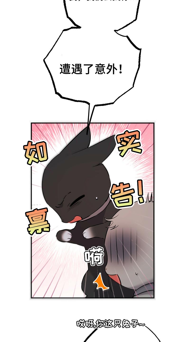 第116章：开始干活21