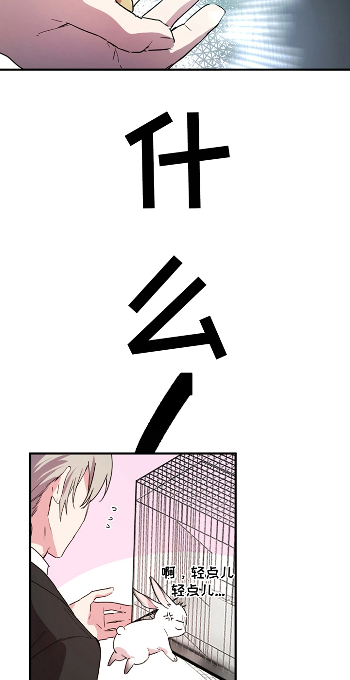 第5章：媳妇儿15