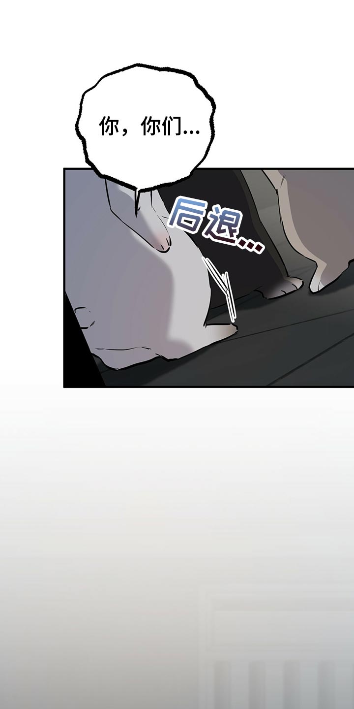 第116章：开始干活4