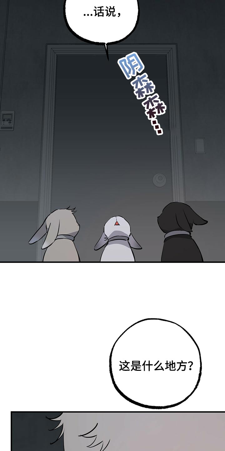 第116章：开始干活12