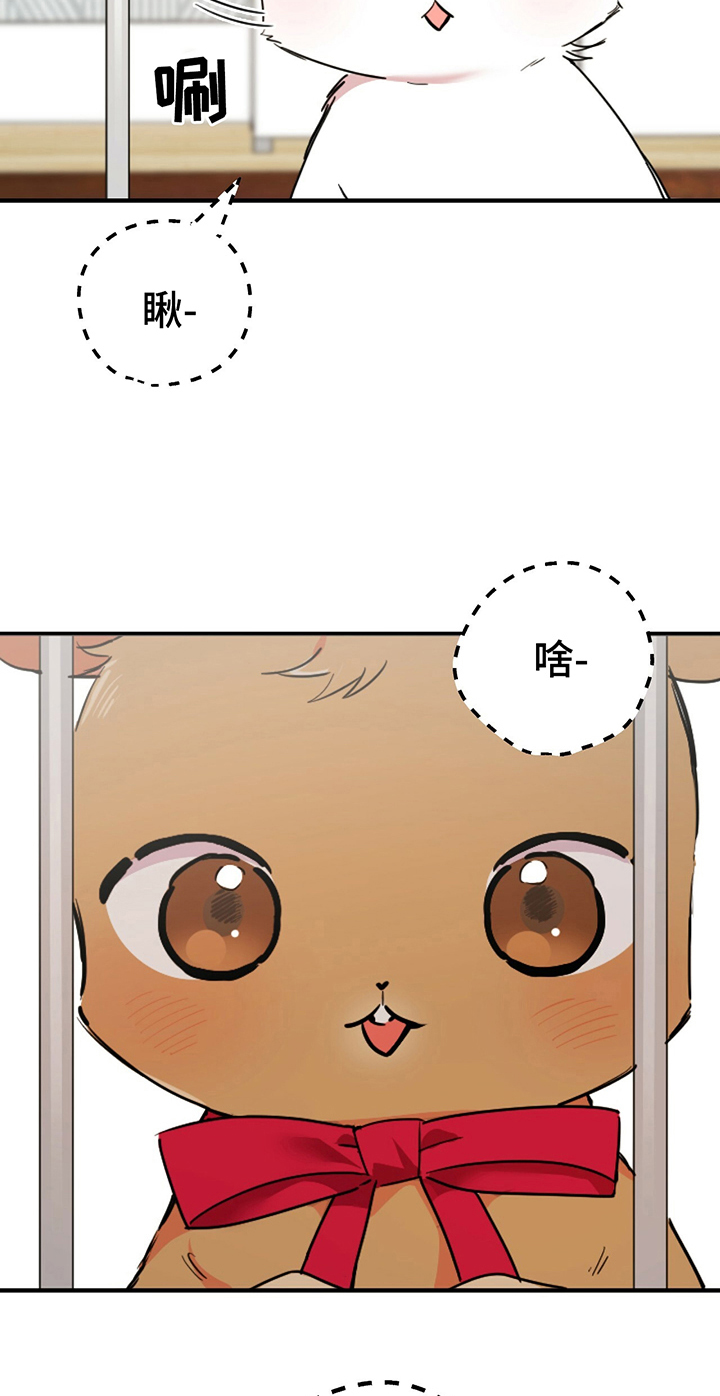 第5章：媳妇儿8