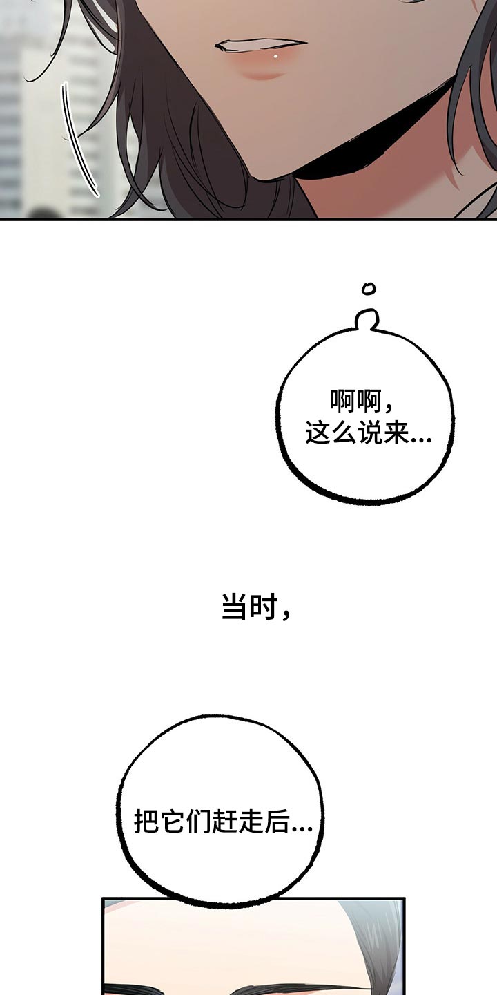 第94章：它们会去哪？16