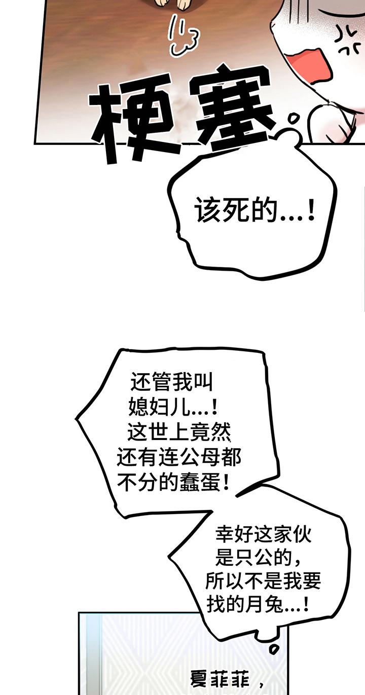 第6章：鄙视10