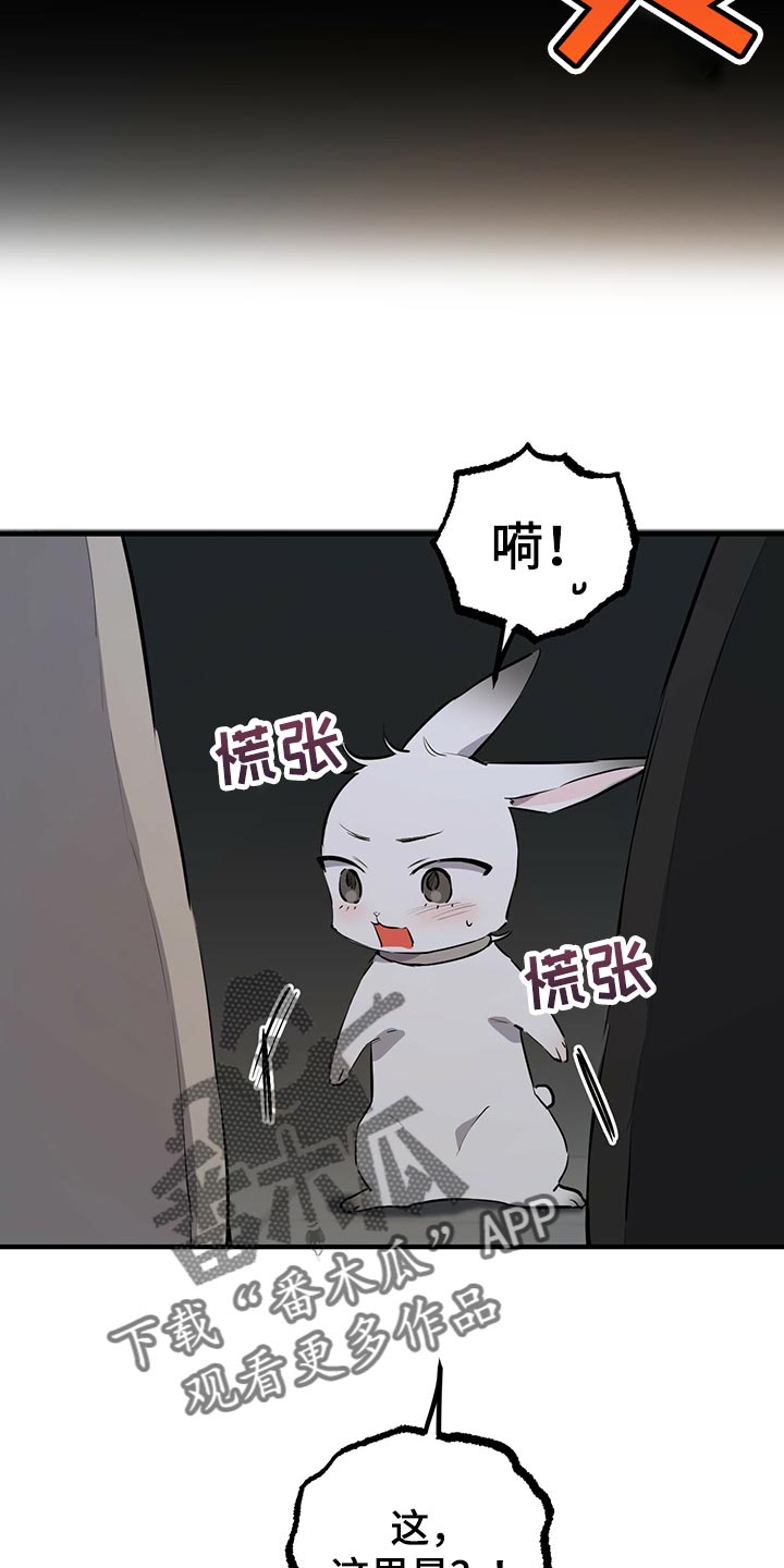 第116章：开始干活2