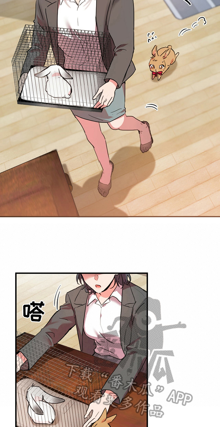 第5章：媳妇儿4