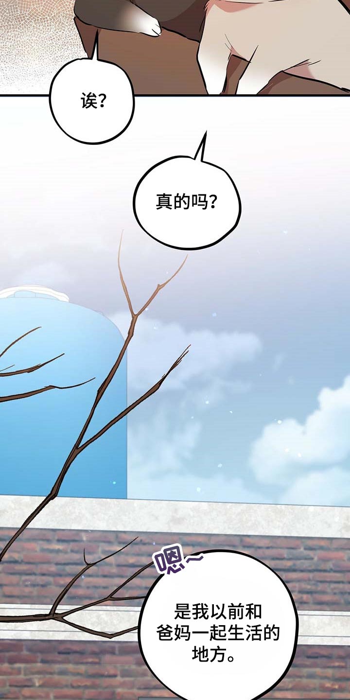 第56章：回你们的家14
