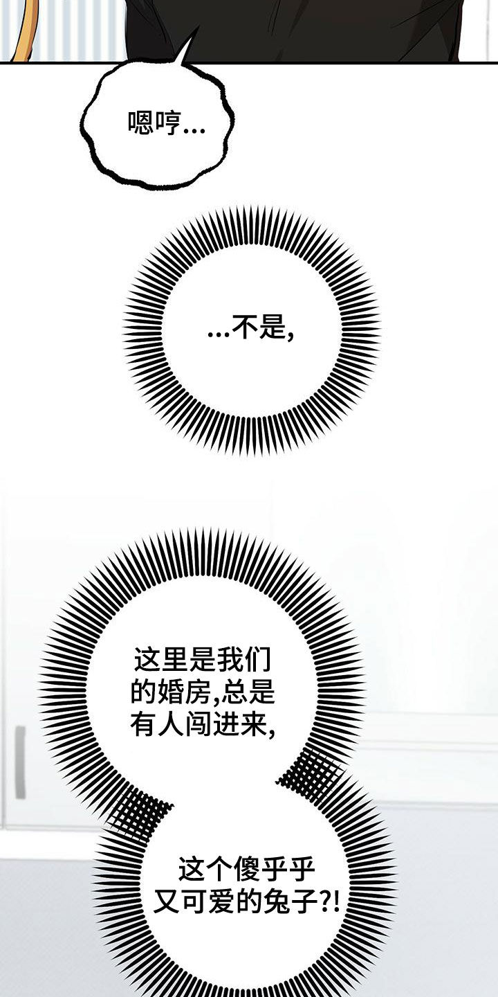 第127章：安排11