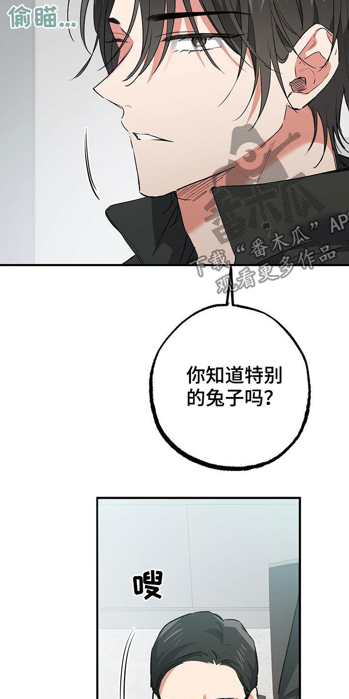第118章：卖月兔24