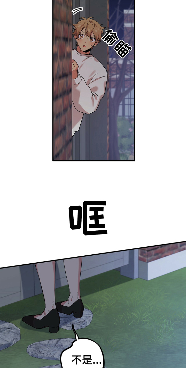 第19章：变身条件19