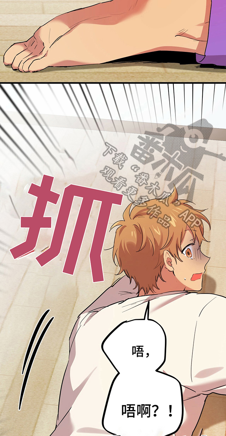 第24章：需要确认11