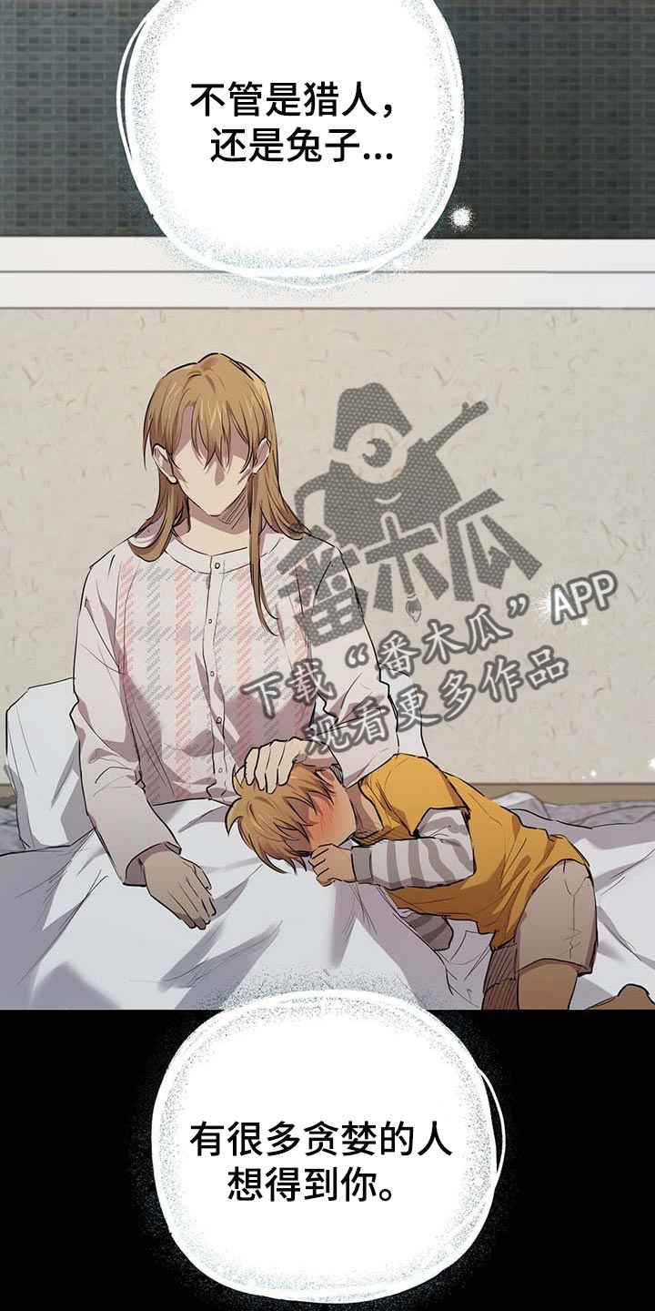 第77章：特别的兔子22