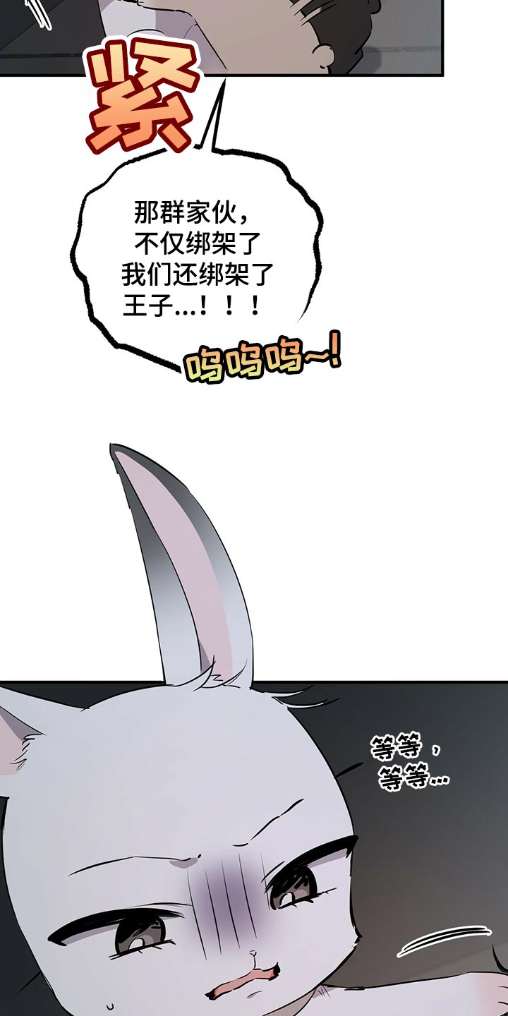 第116章：开始干活8
