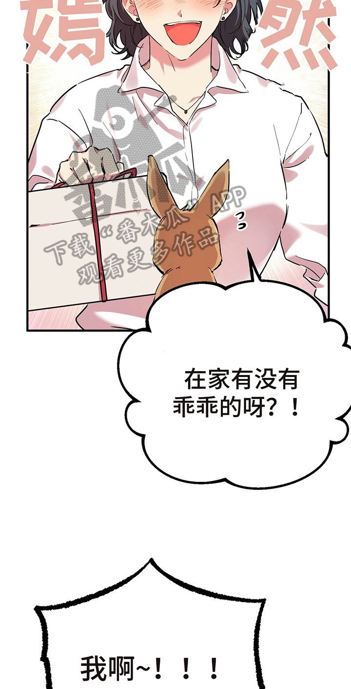 第20章：回来了13