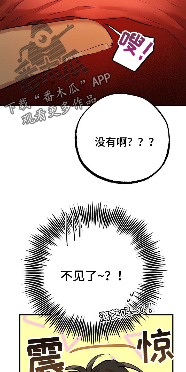 第77章：特别的兔子10