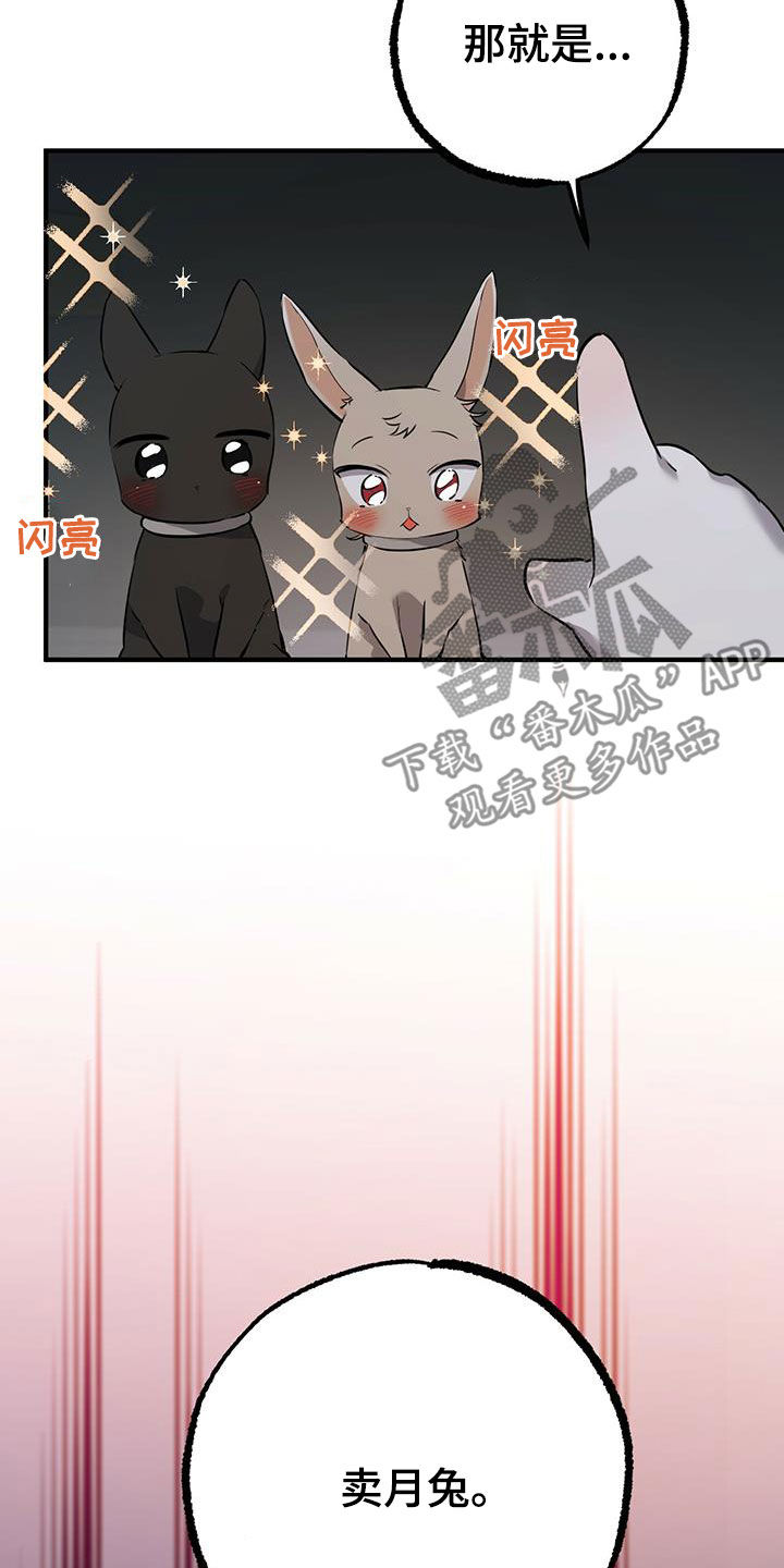 第118章：卖月兔2