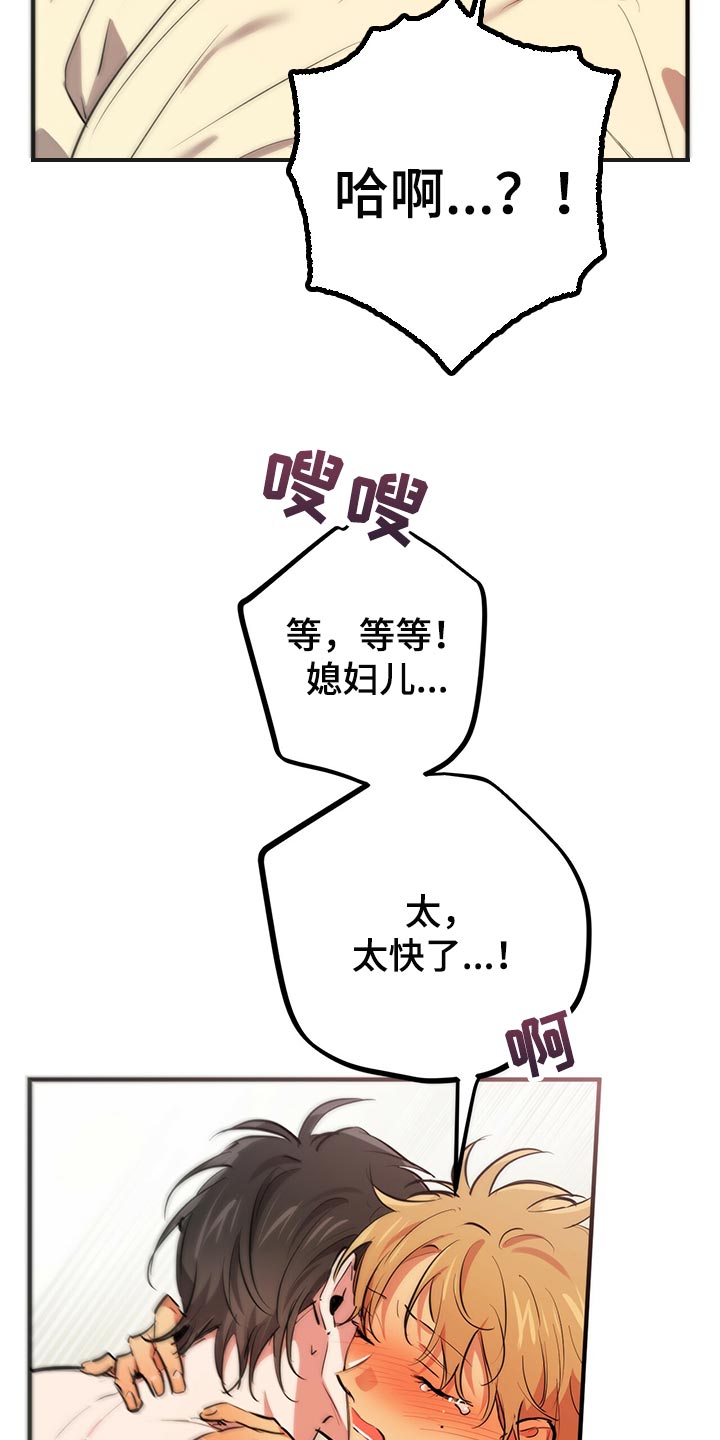第102章：我们的婚房14