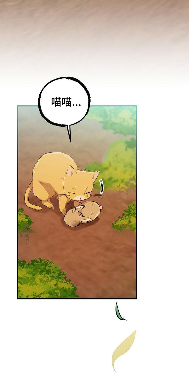 第123章：礼物34