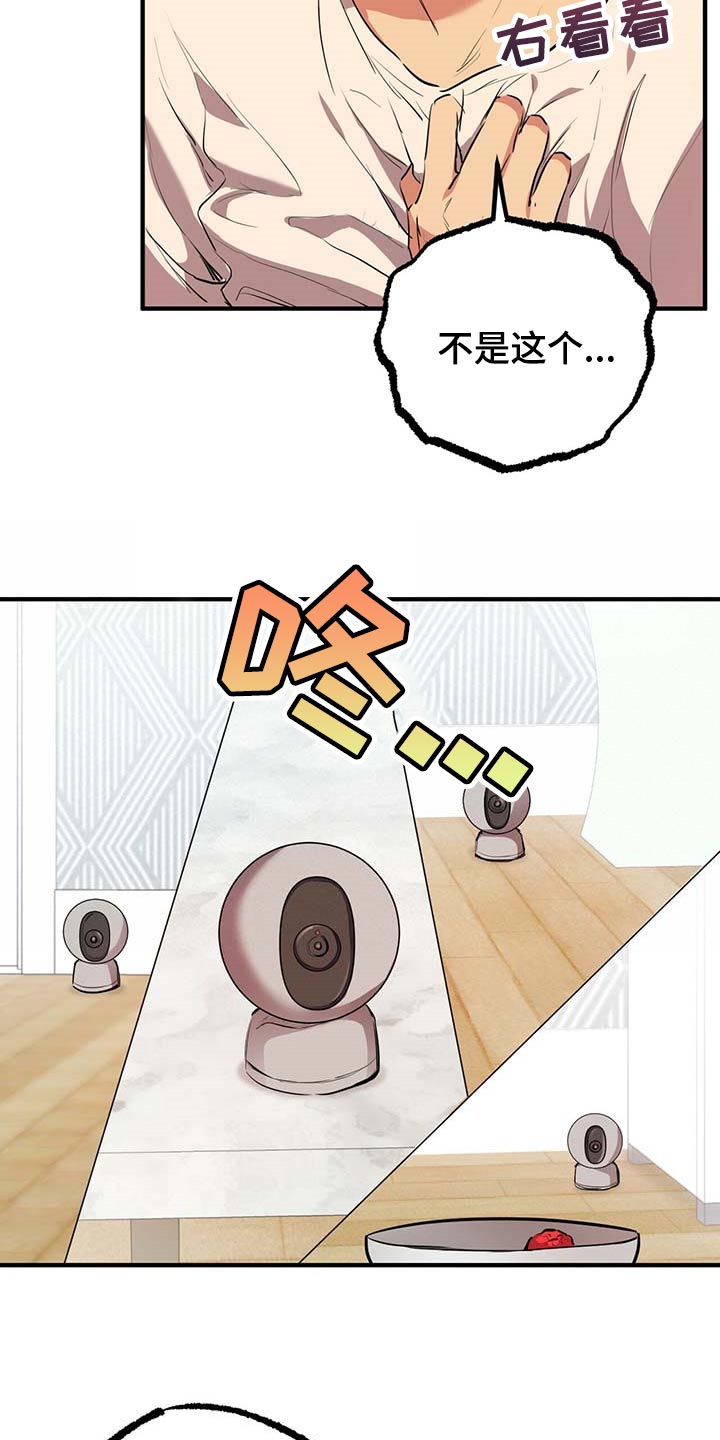 第82章：最重要的镜头8