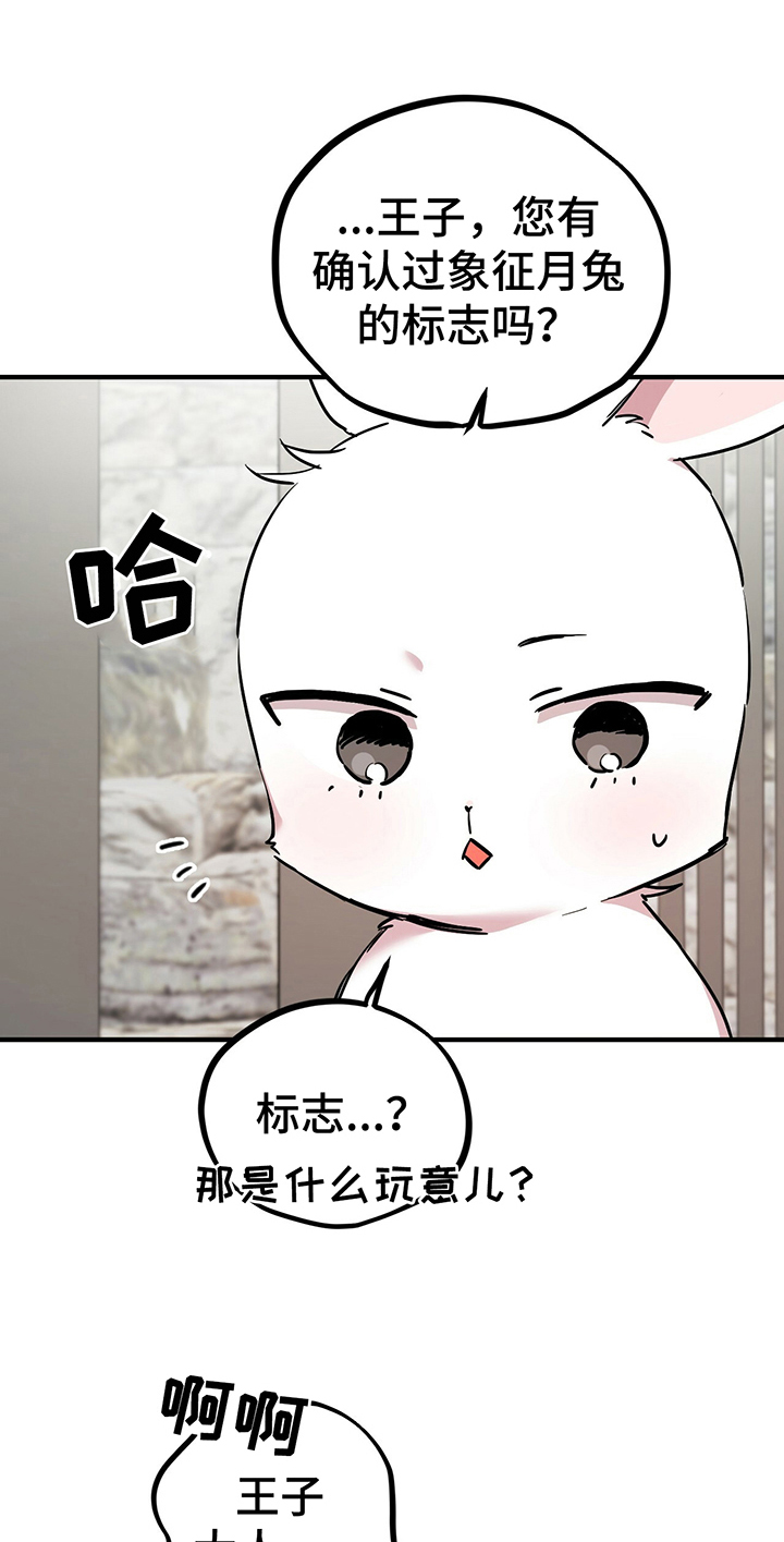 第10章：特征3
