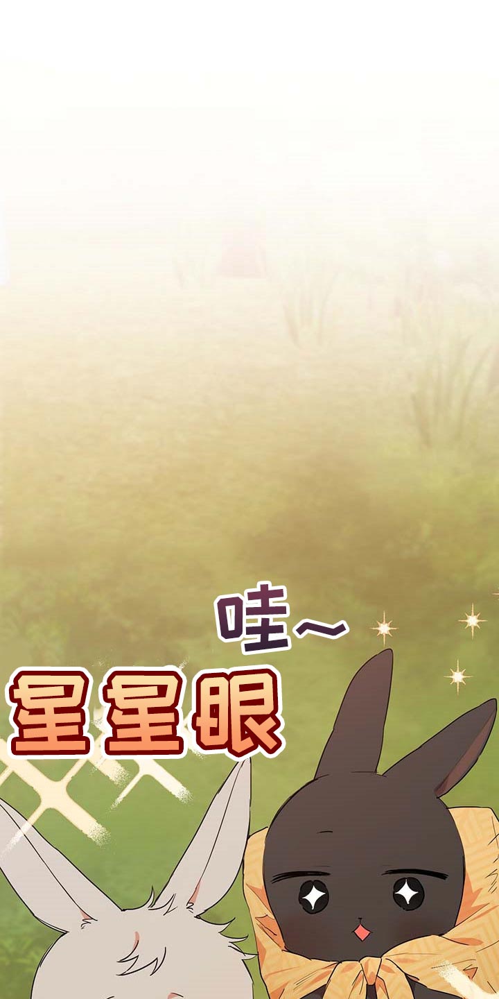 第30章：固执0