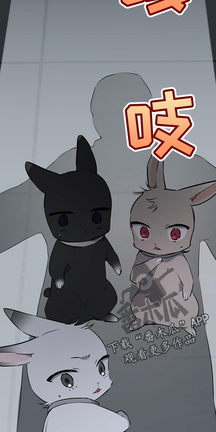 第116章：开始干活29