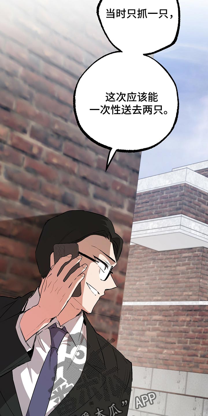 第113章：请立刻过来14