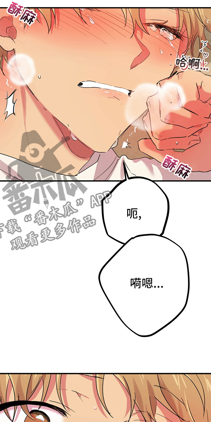 第26章：愉悦10