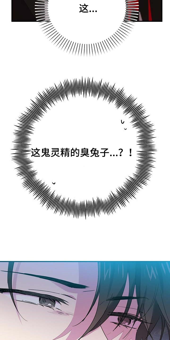第28章：奇怪13